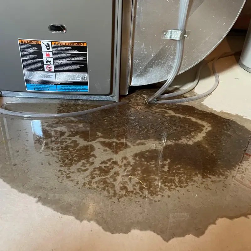Appliance Leak Cleanup in City View, SC