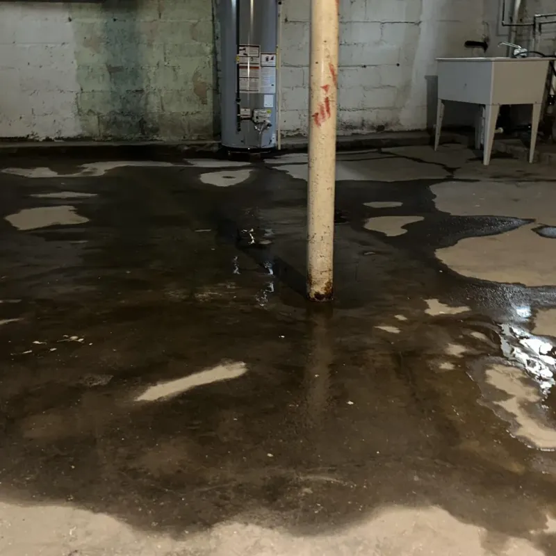 Emergency Water Extraction And Removal in City View, SC